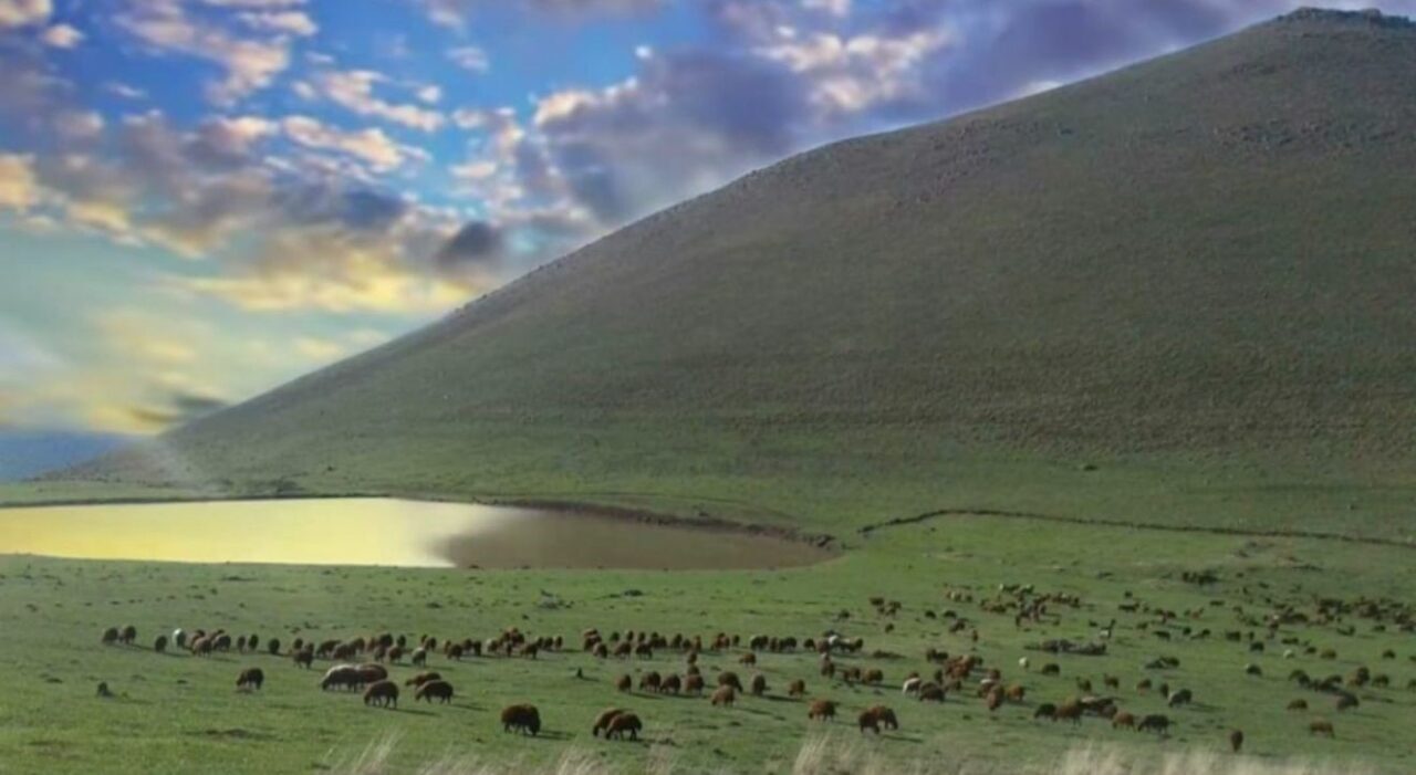 Iğdır'ın Nişankaya köyünde köylüler, meranın usulsüz kiralandığı iddiasıyla muhtar M.D.