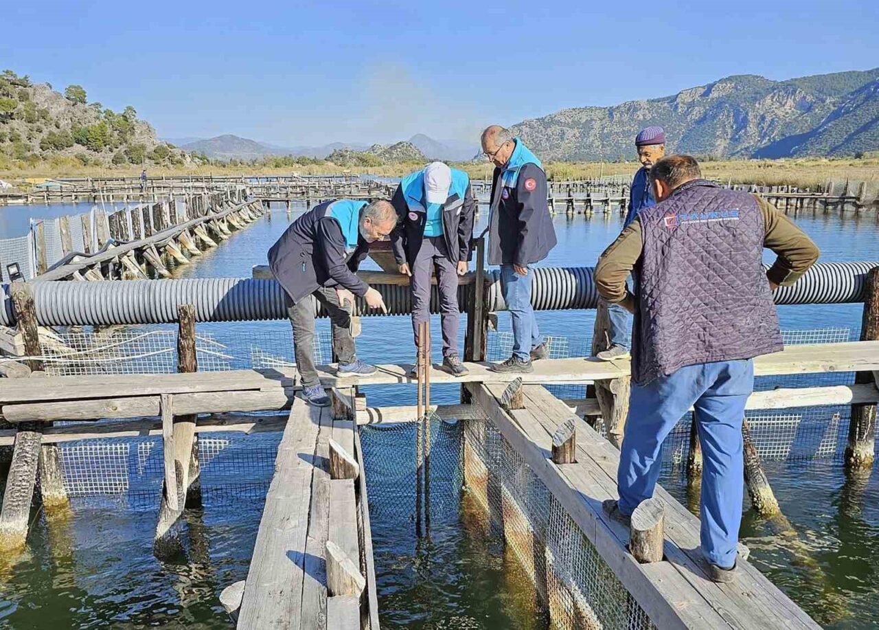 Muğla Tarım ve Orman İl Müdürlüğü, Köyceğiz Gölü, Dalyan ve