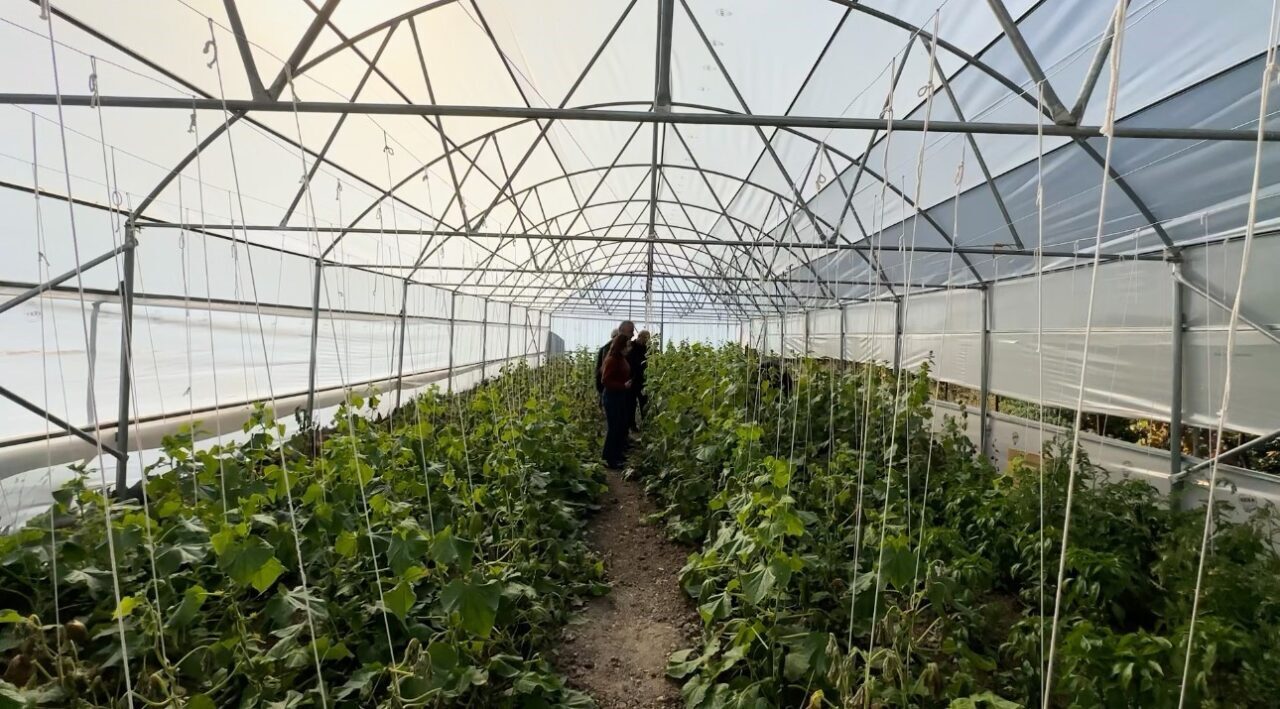 Doski Vadisi’ndeki Boşaltılan Köyler, “Köye Dönüş” Projeleri ile Yeniden Hayat Buluyor