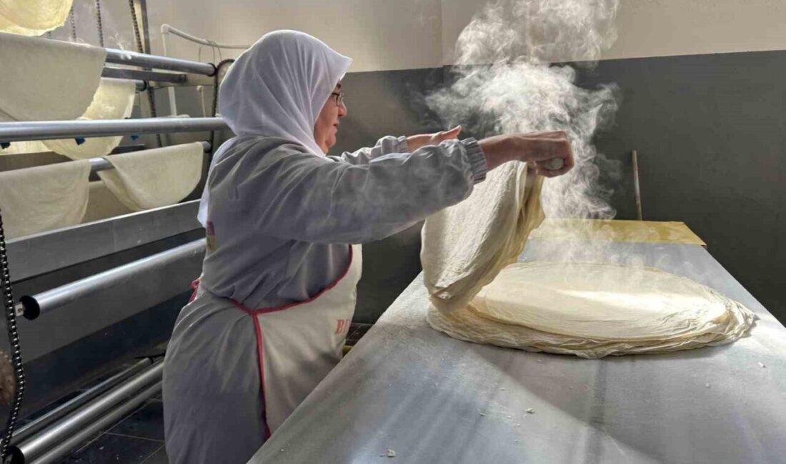 Bingöl AG Kadın Girişim Kooperatifi, 5 yıl önce yalnızca 5