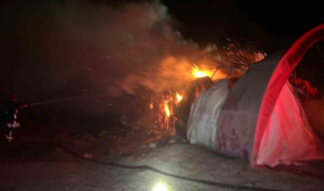 Konya'nın Kulu ilçesindeki Beşkardeş Mahallesi'nde İhsan Can'a ait evin bahçesinde,