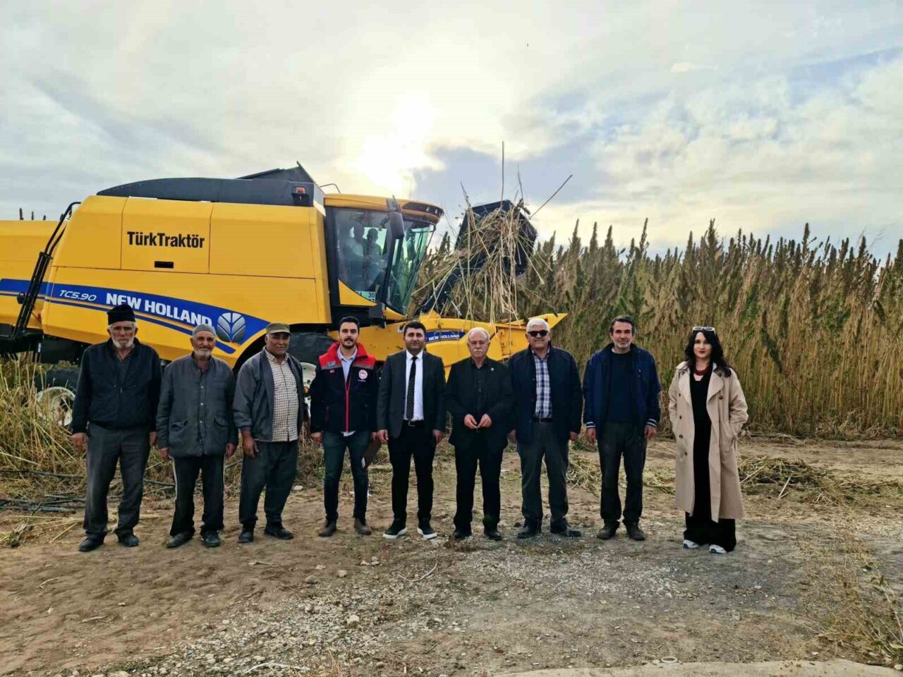 Konya'nın Kulu ilçesinde 15 dekarlık alanda ekilen endüstriyel kenevirin hasadına