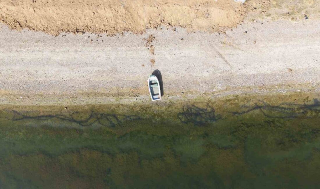 Kırıkkale'nin Bahşılı ilçesinde soğan üreticisi Hasan Tarık Bozkoyun, azalan yağışların