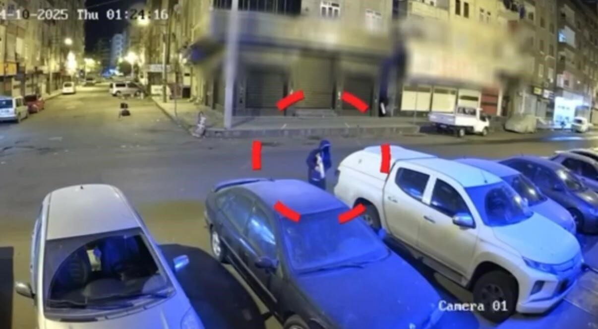 Diyarbakır'da liderliğini İ.D. ve M.D.'nin yaptığı suç örgütüne yönelik gerçekleştirilen