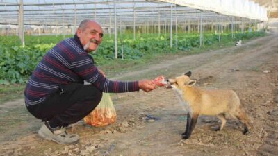 Amasya'nın Büyük Kızılca köyünde, Necati Sarı ve Ömer Sarı adındaki