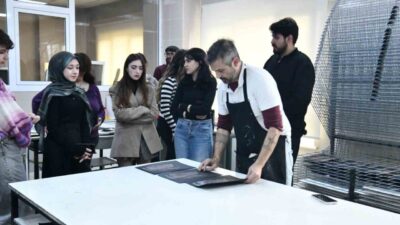 Sakarya Üniversitesi Sanat Tasarım ve Mimarlık Fakültesi, Prof. Daniel Tummolillo