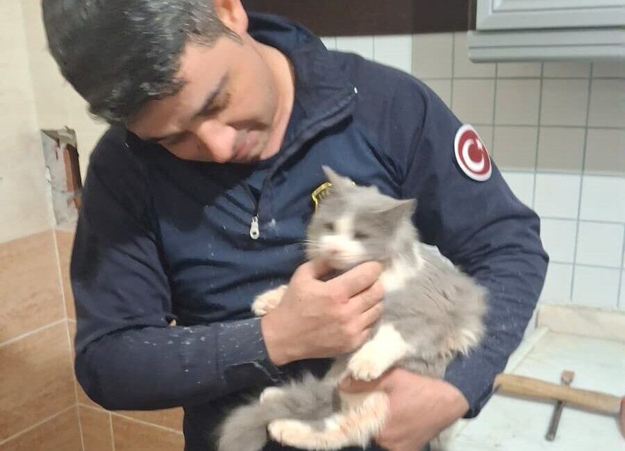 Malatya'nın Battalgazi ilçesinde, havalandırma boşluğuna düşen bir kedi itfaiye ekiplerince