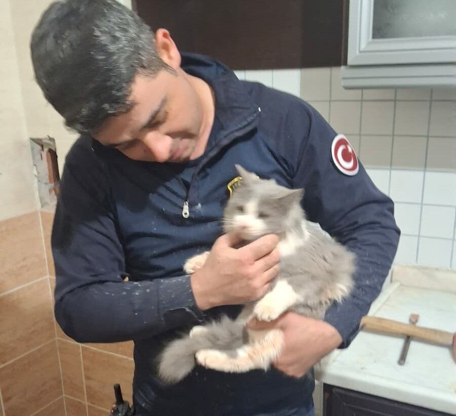 Malatya'nın Battalgazi ilçesinde, havalandırma boşluğuna düşen bir kedi itfaiye ekiplerince