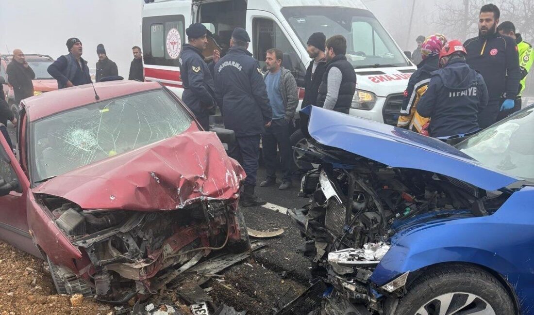 Malatya'nın Akçadağ ilçesinde meydana gelen trafik kazasında, iki otomobil kafa
