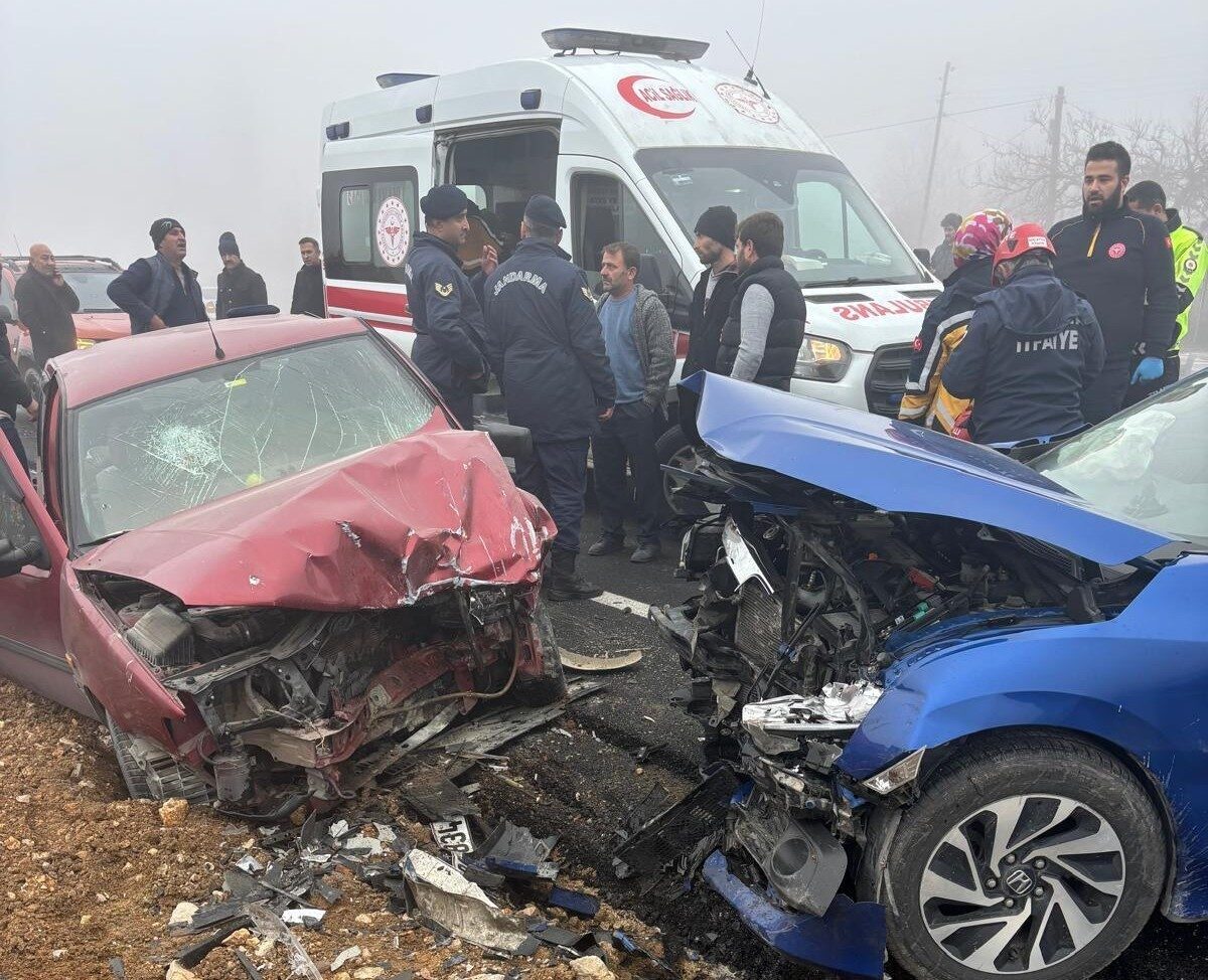 Malatya'nın Akçadağ ilçesinde meydana gelen trafik kazasında, iki otomobil kafa