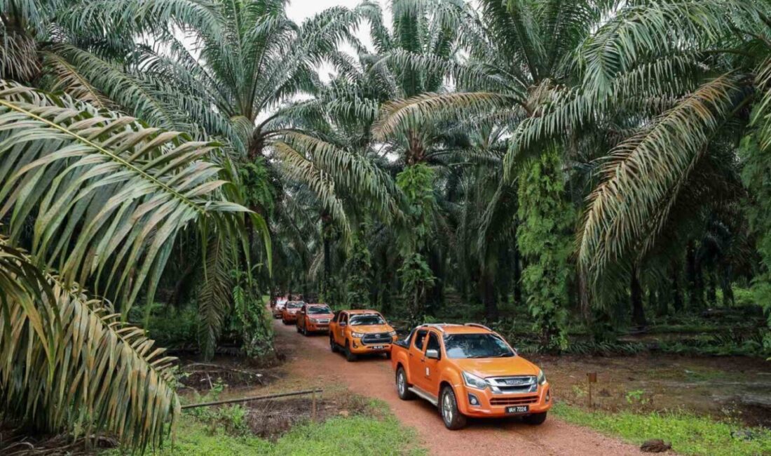 Palm Yağı: Dünya Gıda Pazarında Yükselen Bir Oyuncu ve Sağlıklı Alternatifler Palm yağı, tropikal palmiyeden elde edilen ve Uzak Doğu'da 5