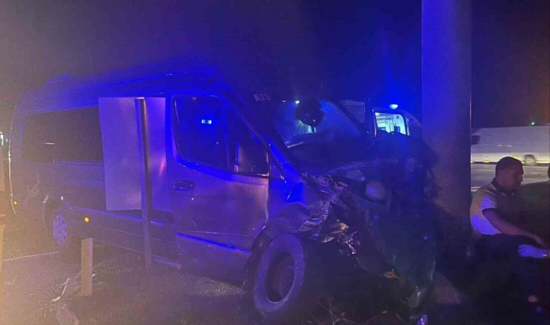 Antalya'nın Manavgat ilçesindeki D-400 kara yolunda, bir tur aracı ile