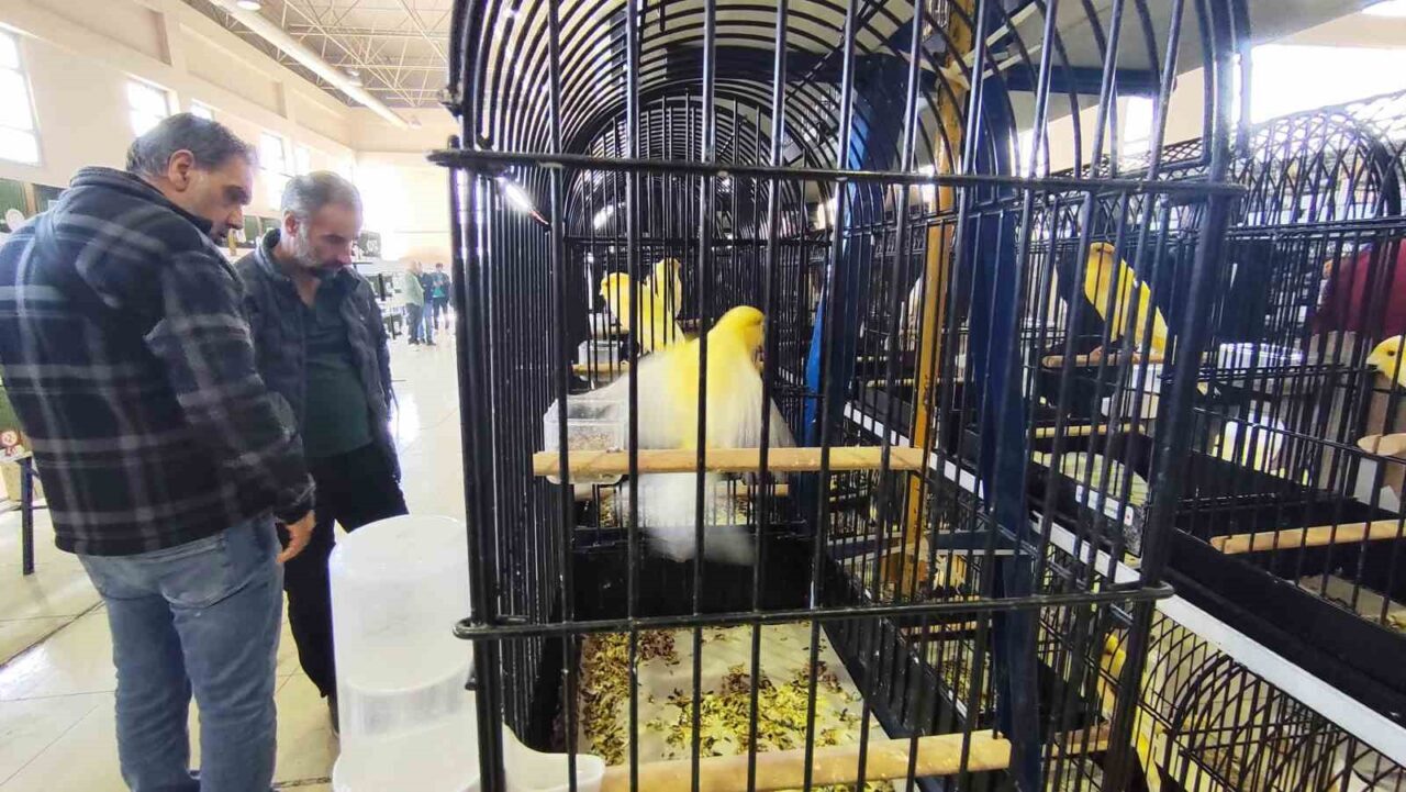 Manisa Fuar Merkezinde TKKKF tarafından düzenlenen 15. Atatürk Kupası Kafes