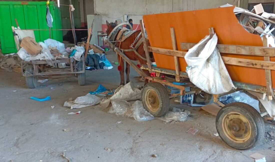 Salihli’de Polis ve Zabıta, At Arabalı Hırsızlıkla Mücadelede İki Araç Ele Geçirdi Manisa Salihli'de polis ve zabıta, at arabalı hırsızlıklara karşı operasyon