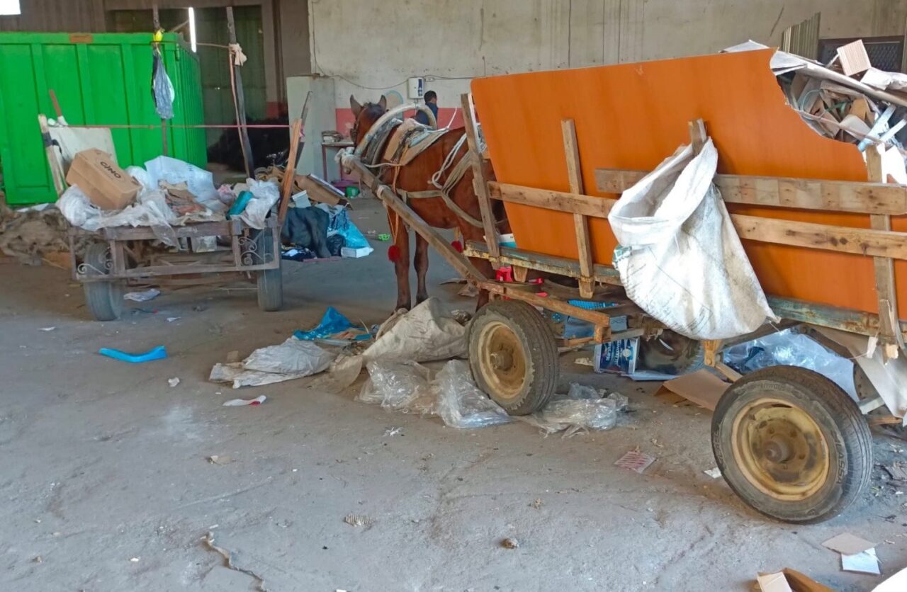 Manisa Salihli'de polis ve zabıta, at arabalı hırsızlıklara karşı operasyon