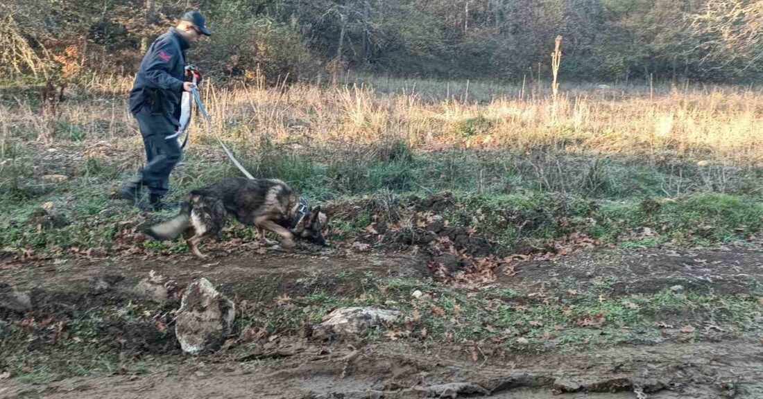 Bilecik’te Mantar Toplamak İçin Ormana Giren Kişi Kayıp, Arama Çalışmaları Devam Ediyor Bilecik'in Hasandere Köyü'nde mantar toplamaya giden İsmail Kaya (34), epilepsi