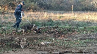 Bilecik'in Hasandere Köyü'nde mantar toplamaya giden İsmail Kaya (34), epilepsi