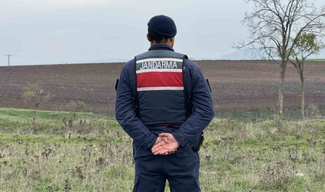 Edirne’de Mantar Toplayan Köylüler, Patlamamış Top Mermisi Buldu ve İmha Edildi Edirne'nin Büyükdöllük köyünde mantar toplayan Serdar Çayan, Balkan Savaşı'na ait