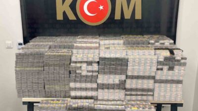 Mardin'in Midyat ilçesinde, kaçakçılık uzmanları tarafından gerçekleştirilen operasyon sonucunda, 7