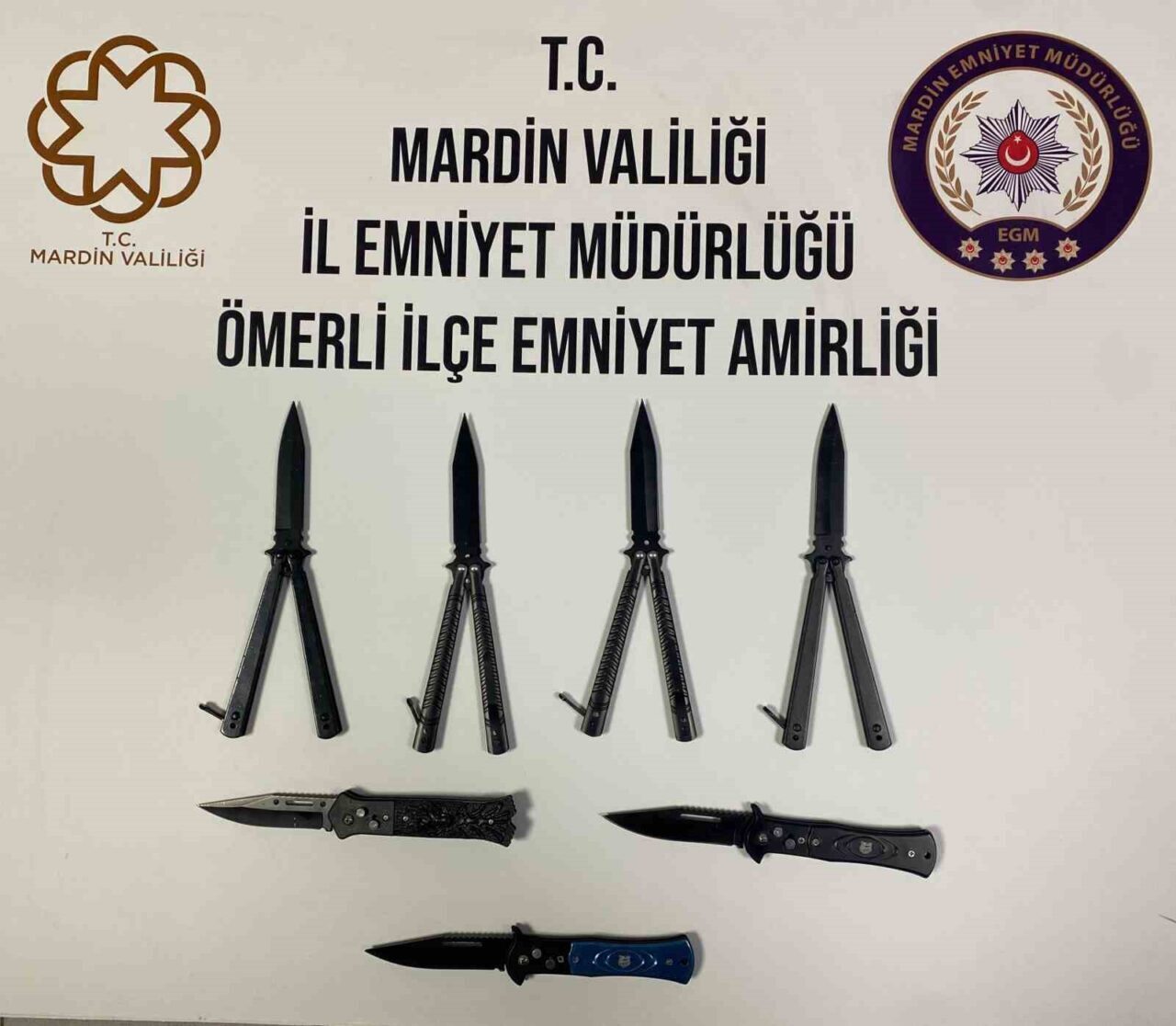 Mardin’in Ömerli ilçesindeki polis denetimlerinde seyyar satıcının tezgahında 4 kelebek