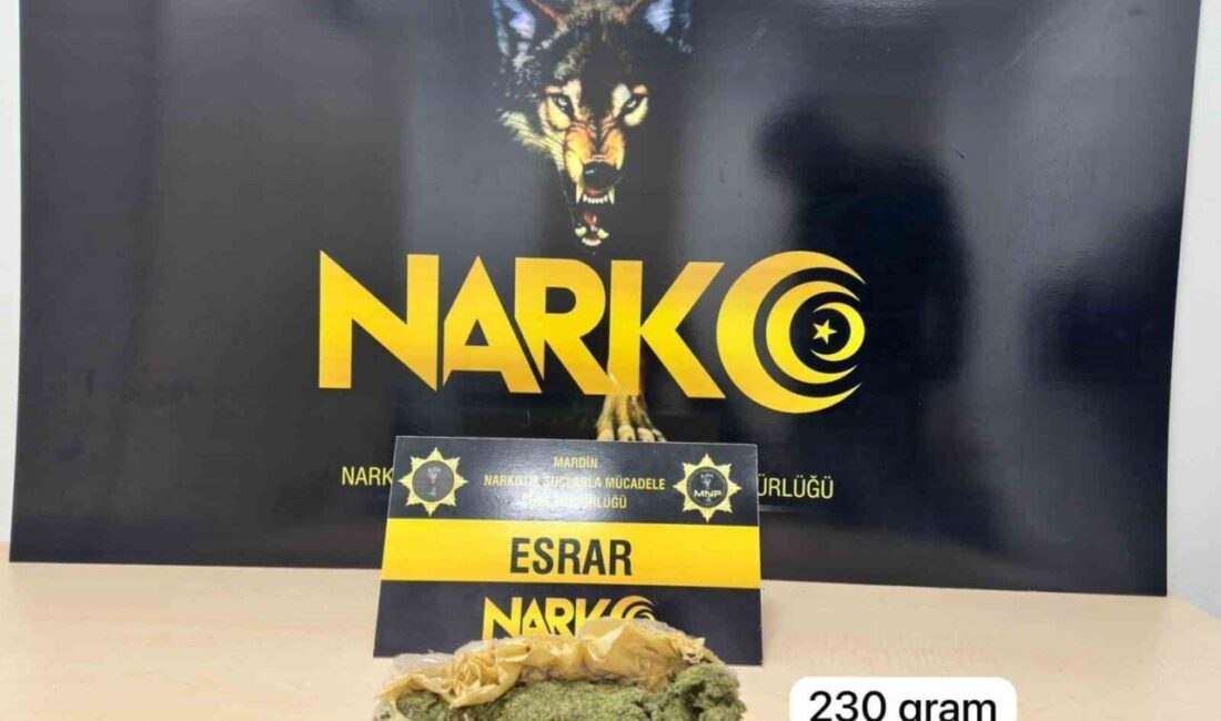 Mardin'in Artuklu ilçesinde düzenlenen uyuşturucu operasyonunda, 2 şüpheli gözaltına alındı.