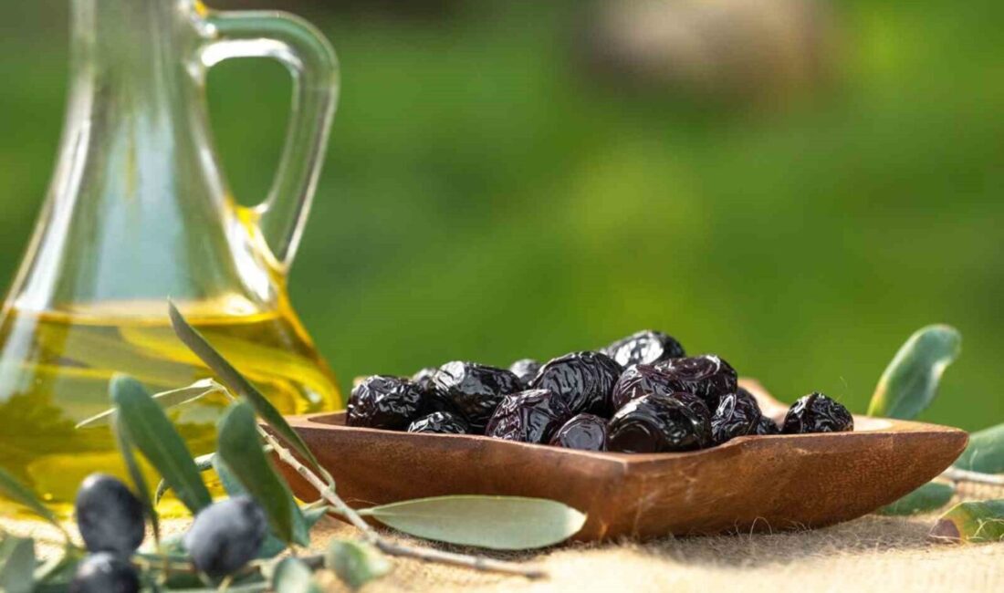 Marmarabirlik, Ortaklarına İkinci Dilim Ödemesi Olarak 21 Kasım’da 761 Milyon Lira Gönderiyor Marmarabirlik, ürün alımlarına Ekim ayında başladı ve 21 Kasım'da 761