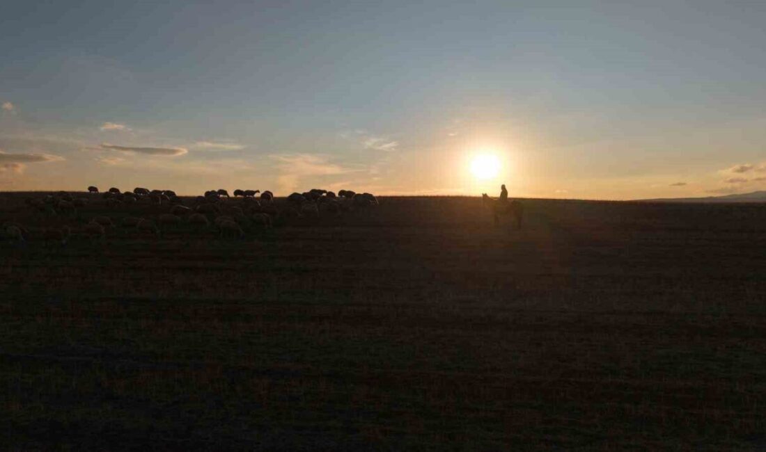 Medya sektöründe yıllarca çalışan Mehmet Özmen, İstanbul'un stresinden uzaklaşarak Kırıkkale’nin