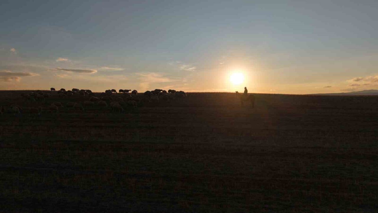 Kırıkkale’deki Köy Hayatı, Mehmet Özmen’e Huzur ve Özgürlük Getirdi