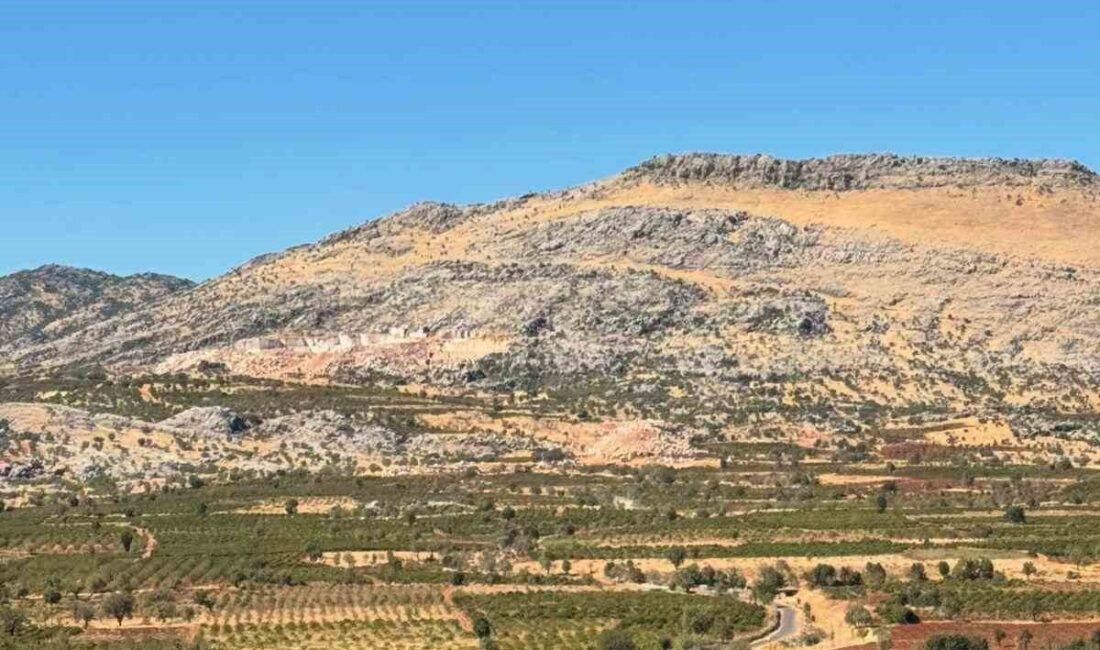 Diyarbakır’ın Çermik ilçesindeki bir mermer ocağında Ramazan A., mermer kesimi