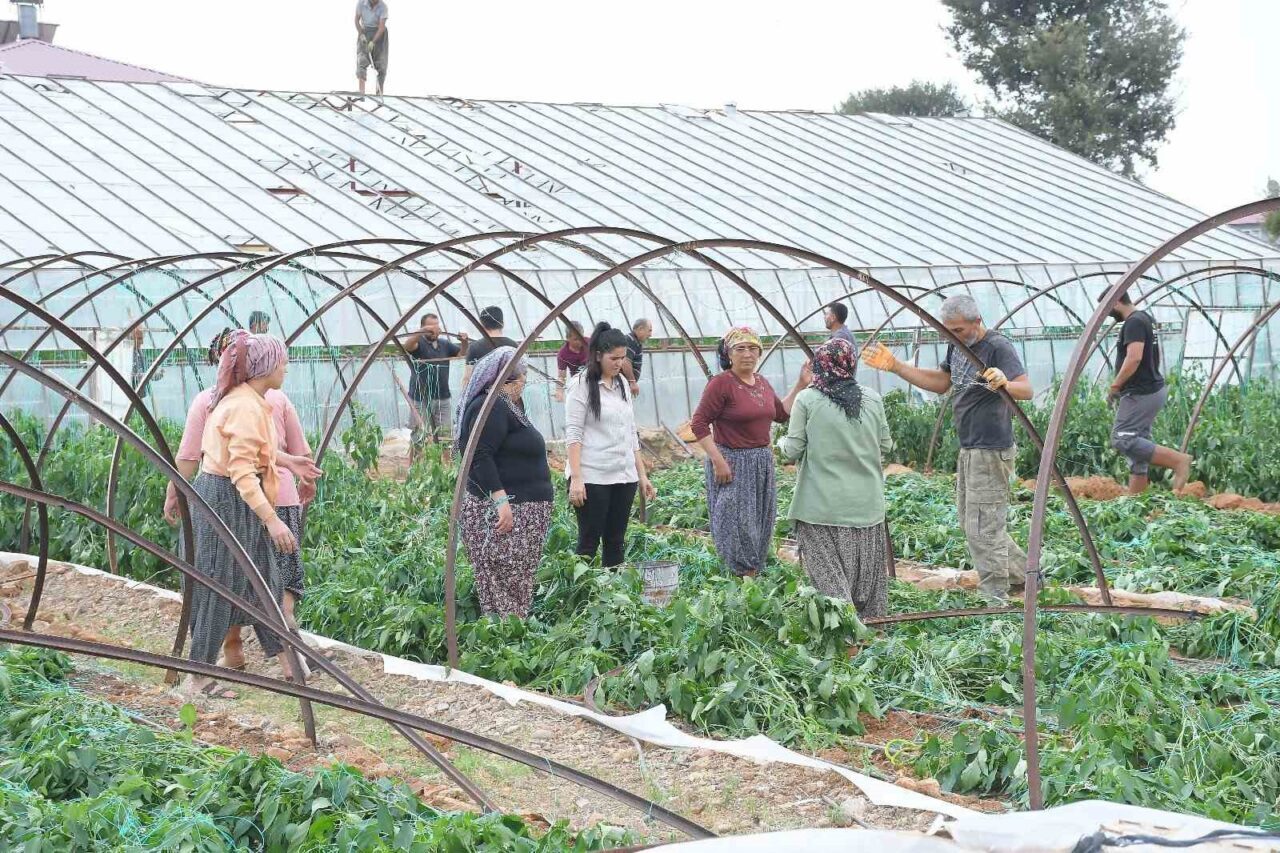 Mersin'in Bozyazı ilçesinde meydana gelen fırtına ve hortum, Çubukkoyağı ile