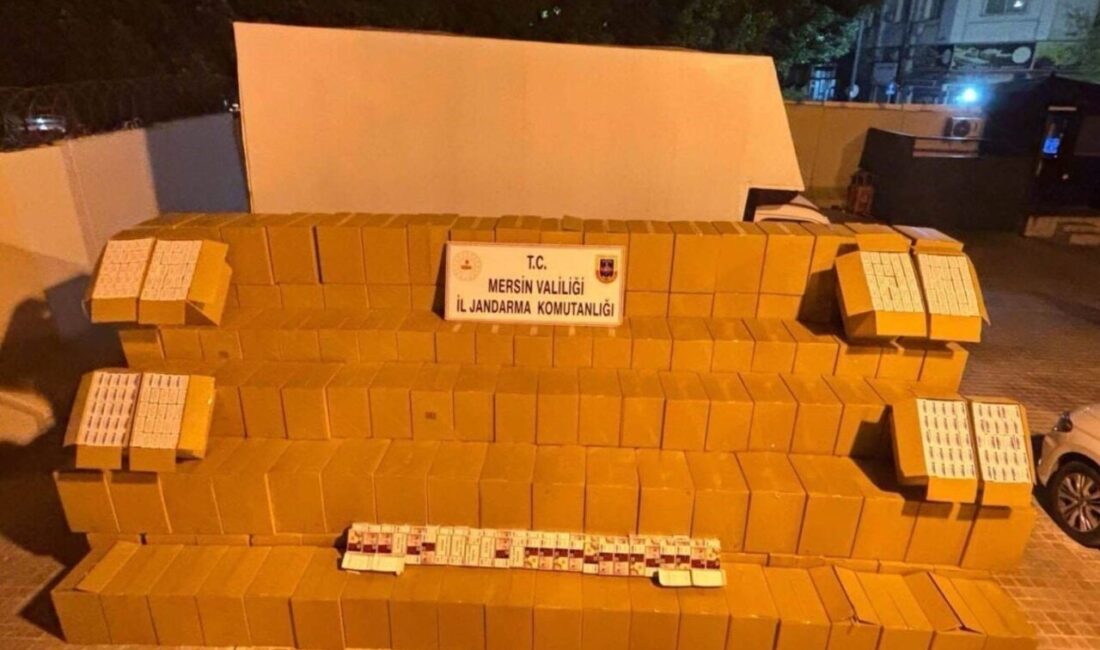 Mersin'de jandarma ekipleri, sigara kaçakçılığıyla ilgili düzenlediği operasyonda iki şüpheliyi