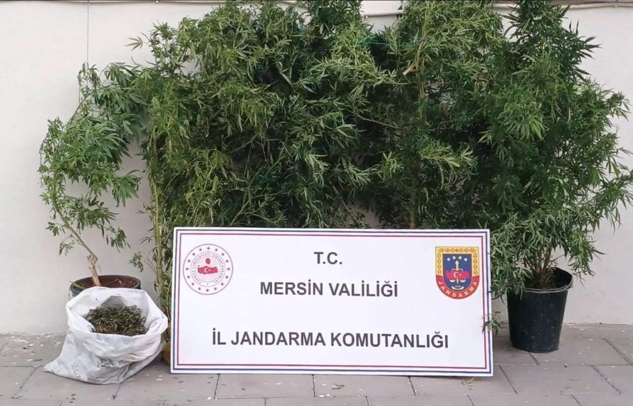 Mersin’in Erdemli ilçesinde jandarma, uyuşturucu ticaretiyle bağlantılı bir operasyonda 1
