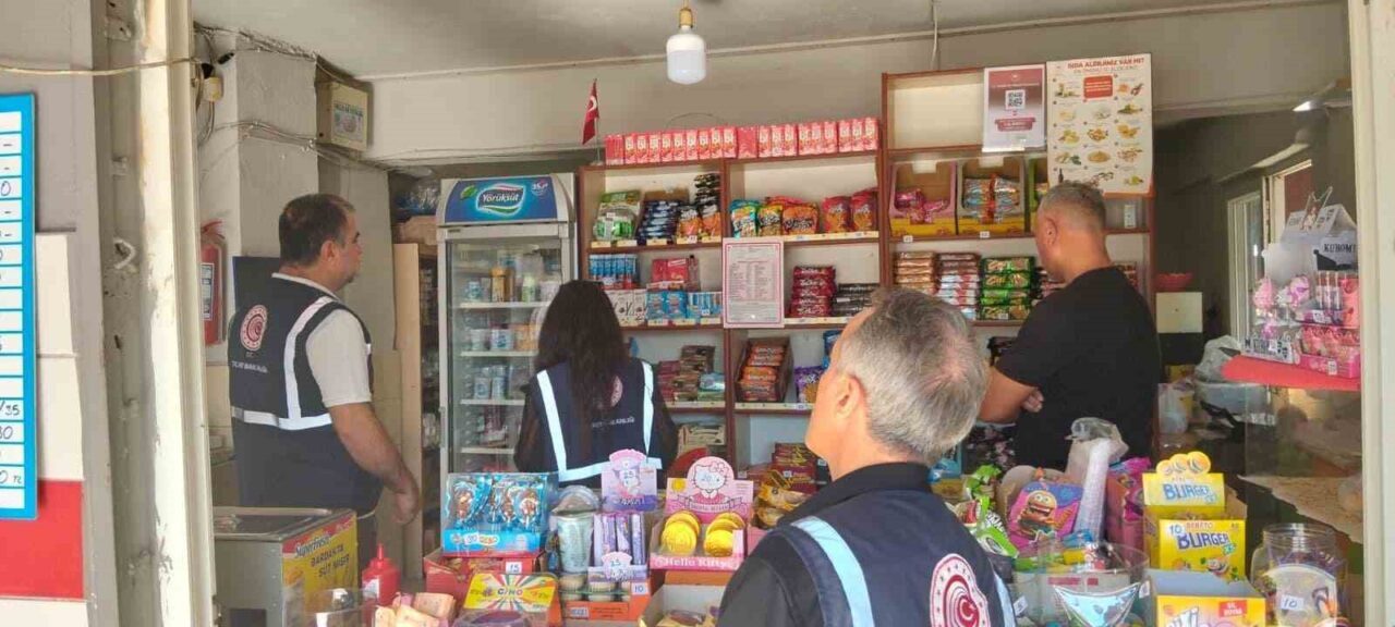 Mersin Ticaret İl Müdürlüğü, ekim ayı boyunca 978 işletmede 66