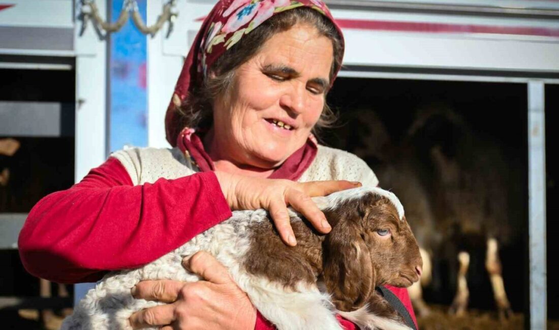 Mersin’de Süregelen ‘Hadi Gel Köyümüze Destek Verelim’ Projesi Üreticilere Umut Olmaya Devam Ediyor Mersin'deki 'Hadi Gel Köyümüze Destek Verelim' projesi, 6. yılına girdi