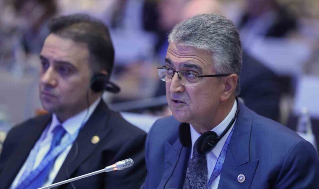 Prof. Dr. Kamil Aydın, Gazze’deki İnsani Krizi AGİT PA Toplantısında Anlattı MHP Erzurum Milletvekili Prof. Dr. Kamil Aydın, AGİT PA toplantısında