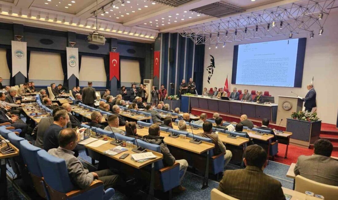 MHP Kayseri Büyükşehir Belediye Meclisi Grubu, Gürcistan'daki uçak kazasında şehit