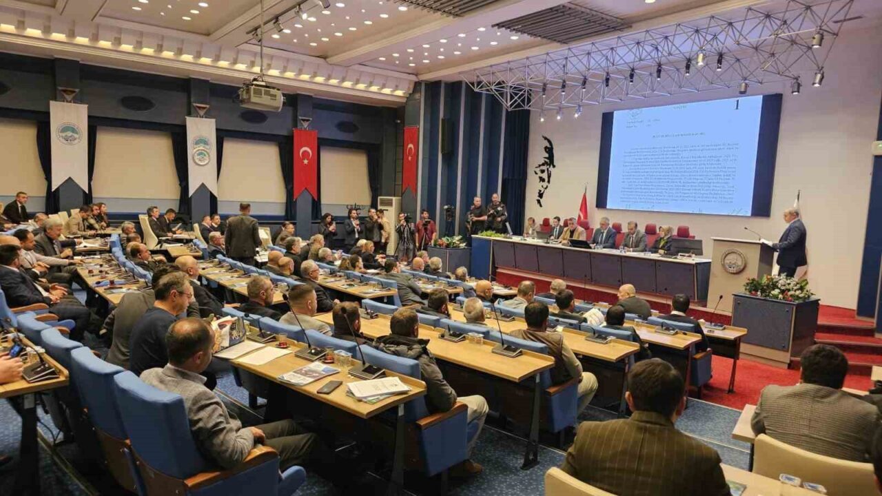 MHP Kayseri Büyükşehir Belediye Meclisi Grubu, Gürcistan'daki uçak kazasında şehit