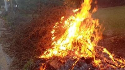 Muğla'nın Milas ilçesinde akşam saatlerinde meydana gelen iki orman yangını,