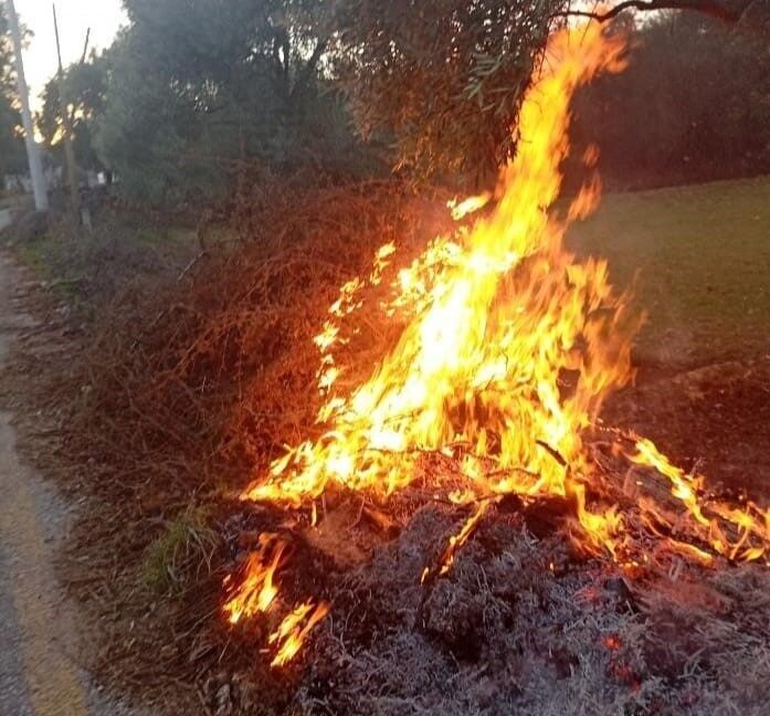 Milas’ta Çıkan İki Orman Yangını Hızlı Müdahale ile Kontrol Altına Alındı Muğla'nın Milas ilçesinde akşam saatlerinde meydana gelen iki orman yangını,