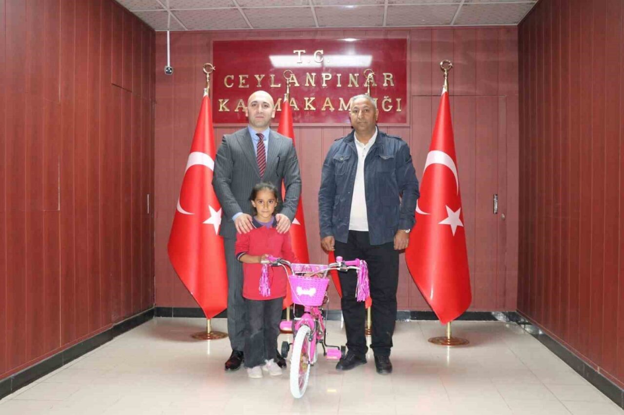 Şanlıurfa'nın Ceylanpınar ilçesinde Dilek Debe adlı bir kız çocuğu, ilçe