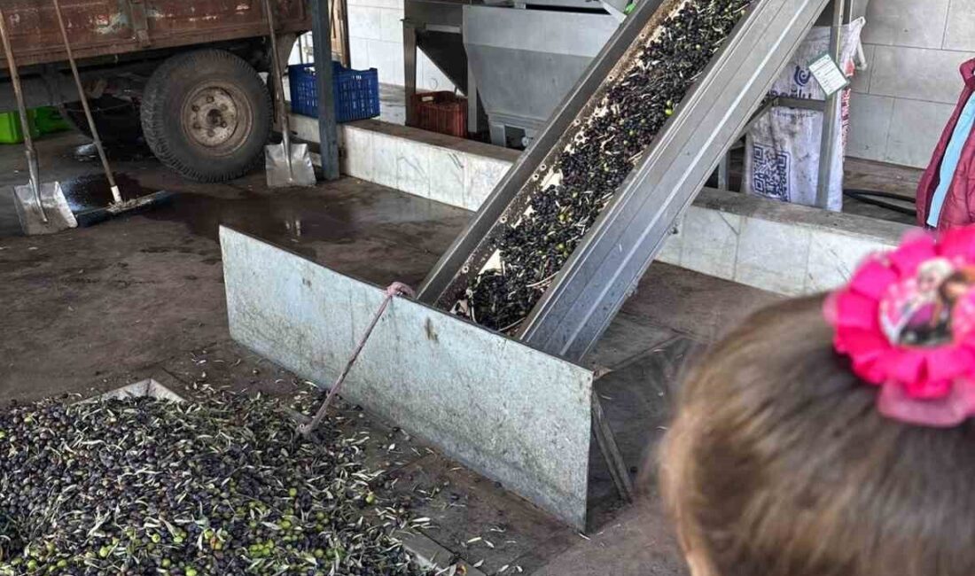 Aydın'daki Halide Hatun İlkokulu'nun ikinci sınıf öğrencileri, öğretmen Gülnur Atik