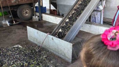 Aydın'daki Halide Hatun İlkokulu'nun ikinci sınıf öğrencileri, öğretmen Gülnur Atik