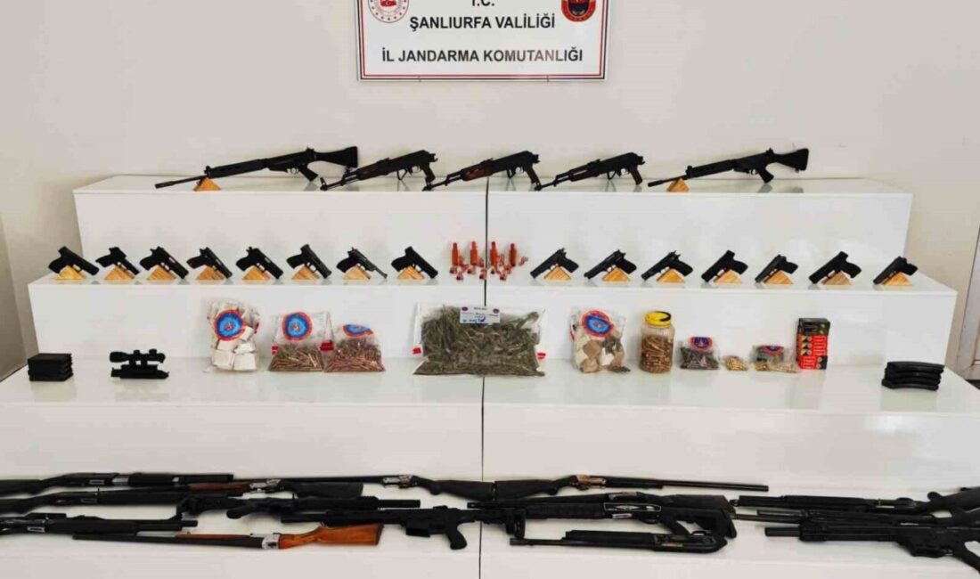 Viranşehir’de Mısır Tarlasında Yapılan Operasyonda Çok Sayıda Silah ve Uyuşturucu Ele Geçirildi, 9 Gözaltı Gerçekleşti Şanlıurfa'nın Viranşehir ilçesinde Jandarma tarafından gerçekleştirilen operasyonda, bir mısır tarlasında