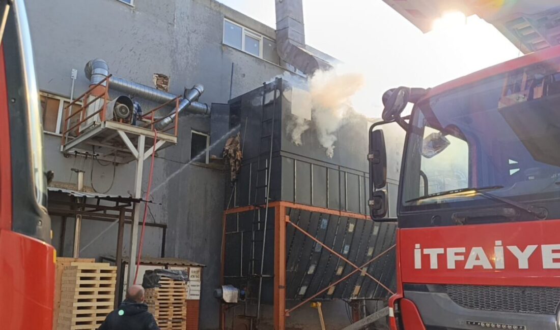 Bursa'nın İnegöl ilçesindeki bir mobilya fabrikasında çıkan yangında 30 yaşındaki