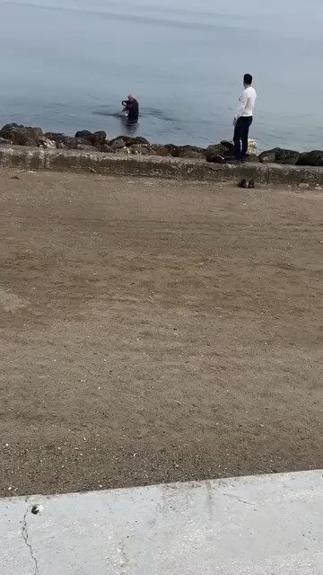 Güzelyalı’da Bir Martı, Duyarlı Bir Vatandaş Tarafından Kurtarıldı Bursa'nın Mudanya ilçesinde bir vatandaş, Güzelyalı sahilinde oltalarla sıkışan bir