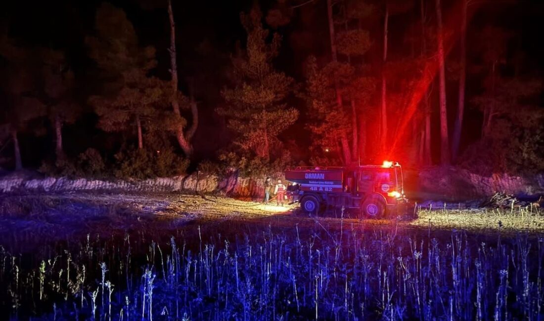 Kavaklıdere’deki Orman Yangını, Hızlı Müdahale ile Kısa Sürede Kontrol Altına Alındı Muğla'nın Kavaklıdere ilçesinde, Çayboyu Mahallesi'nde çıkan orman yangını, itfaiye ve
