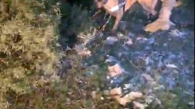 Muğla Narkotik Suçlarla Mücadele Şube Müdürlüğü, Menteşe'de uyuşturucu ile mücadele