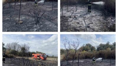 Muğla'nın Yatağan ilçesi Bozüyük Mahallesi'nde çıkan yangın, Muğla Büyükşehir Belediyesi