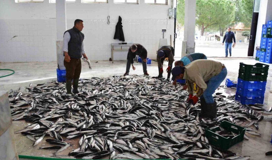 Muğla İli Eşen Çayı Havzası'ndaki işletmelerin hastalık haritasının çıkarılması için