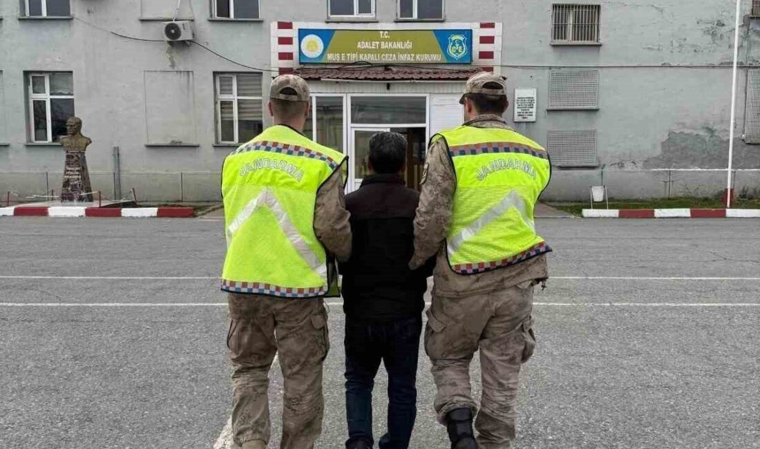 Muş'ta, 5 yıl kesinleşmiş hapis cezası olan İ.A. jandarma ekipleri